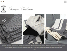 Tablet Screenshot of fenegro.com